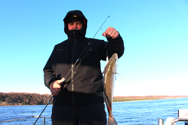 speckled sea trout in the Chesapeake