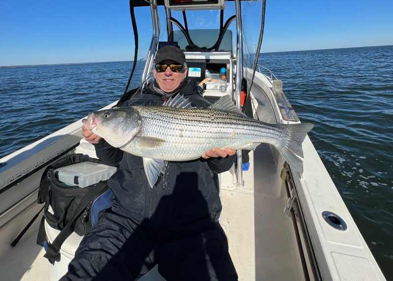 winter rockfish on the middle chesapeake