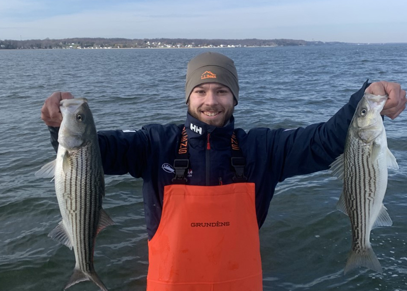 mid bay rock fish