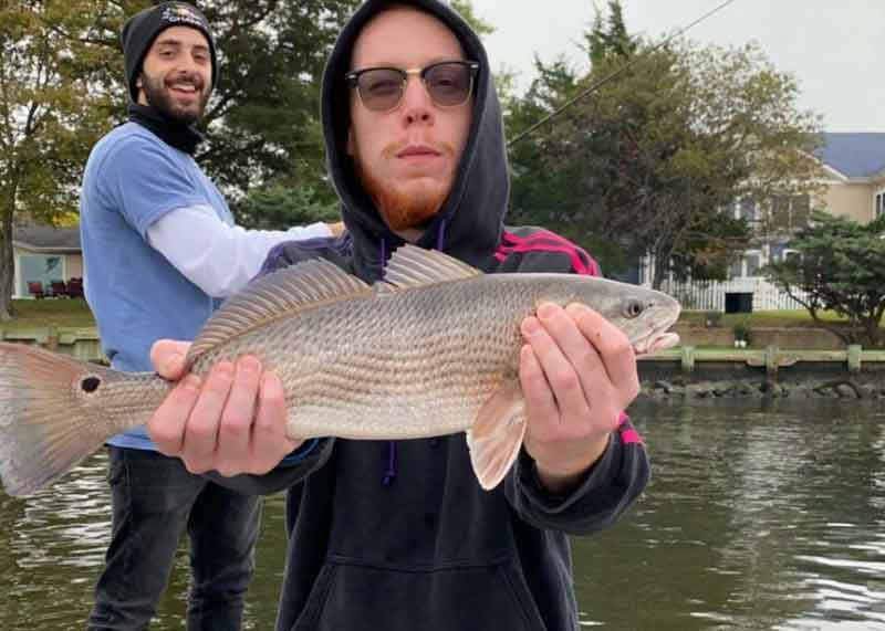 middle bay puppy drum