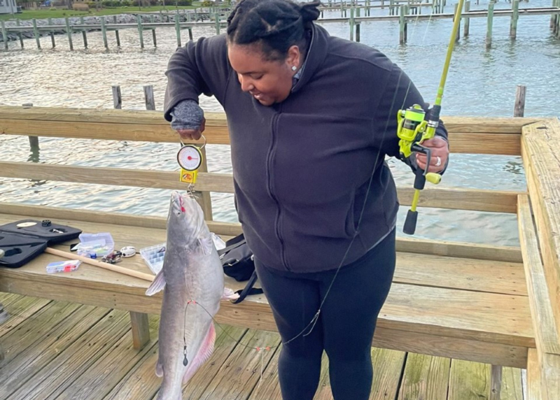 middle chesapeake bay catfish