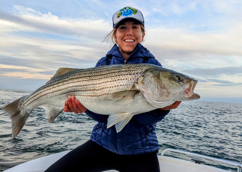 striper on an eel