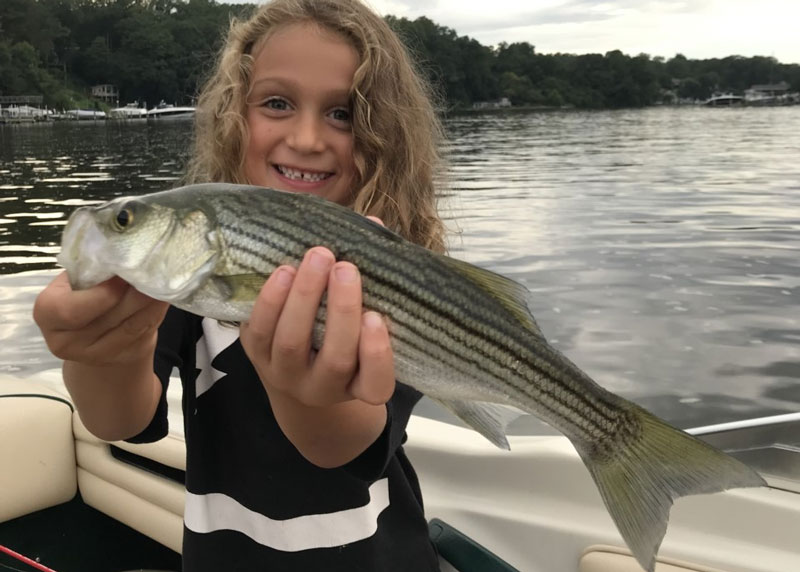 severn river rockfish