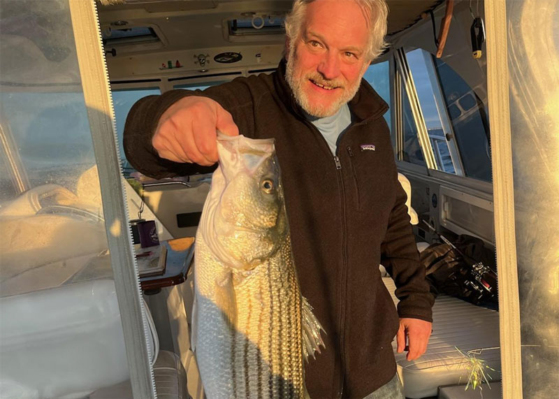 eastern bay rock fish