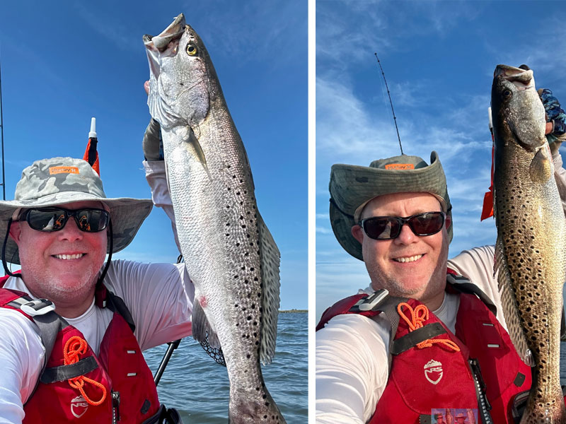 pair of big speckled trout