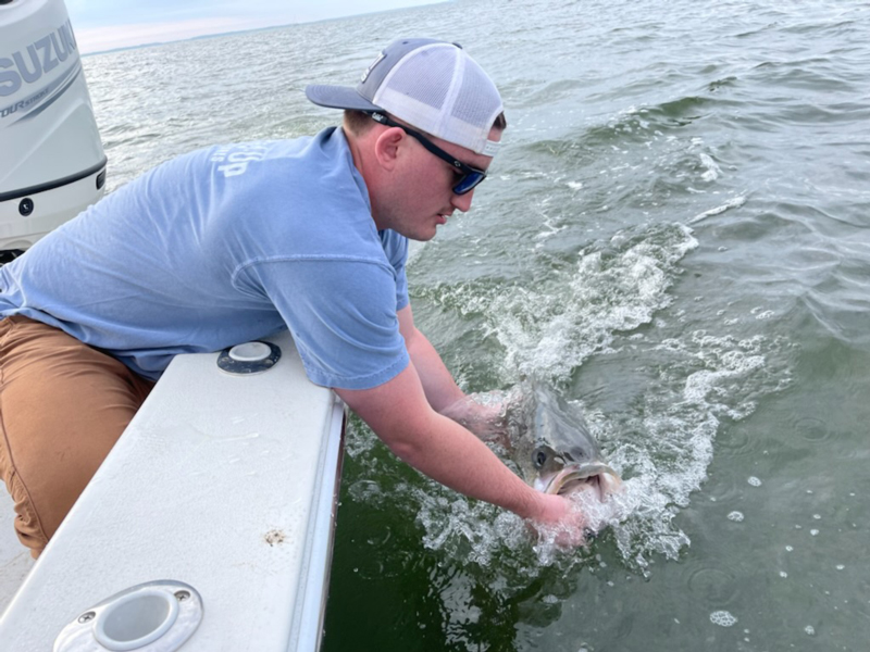 releasing a trophy rockfish