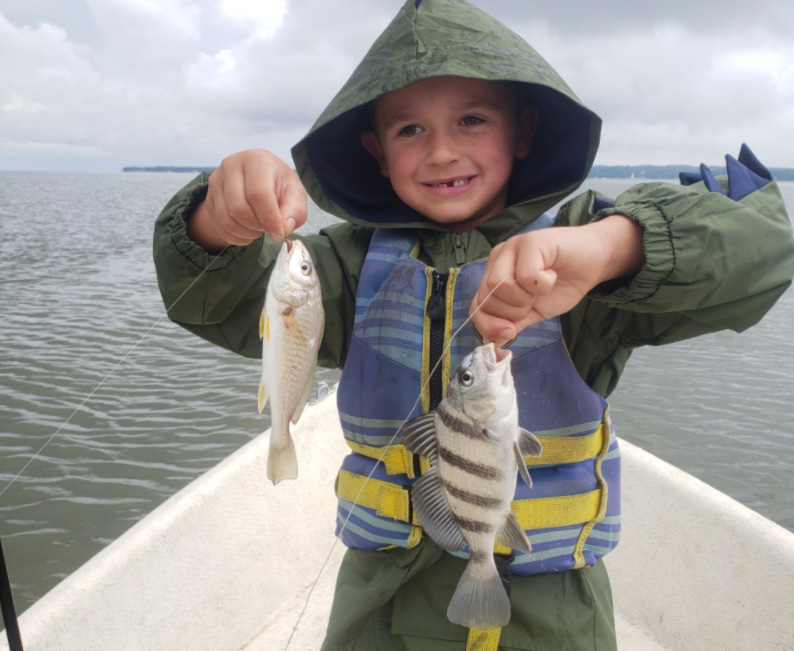 tiny black drum