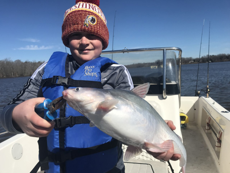 zach with a big catfish from the choptank