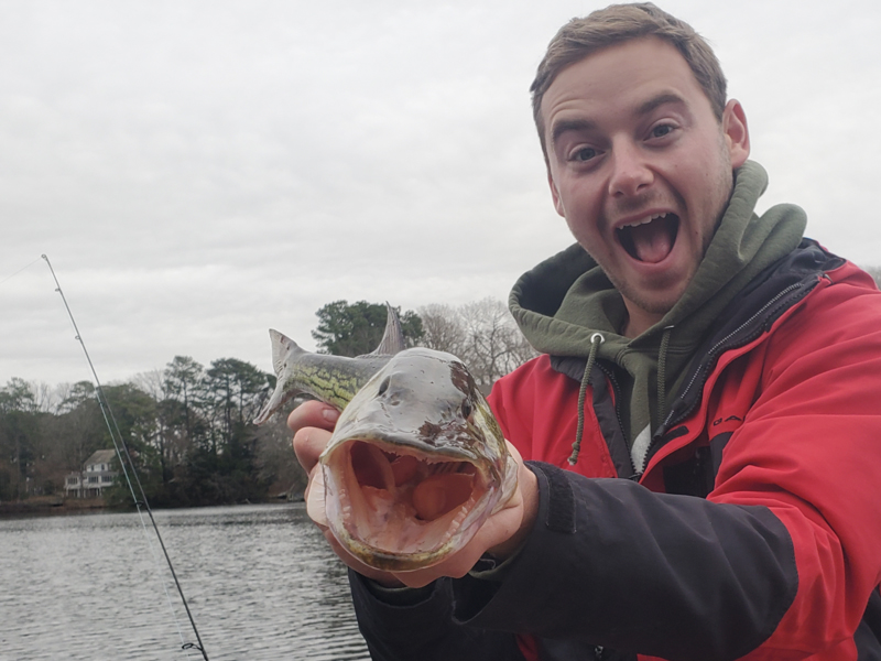 angler with a pickerel