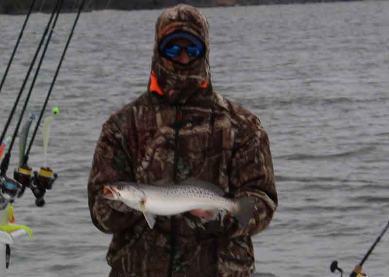 middle bay speckled trout