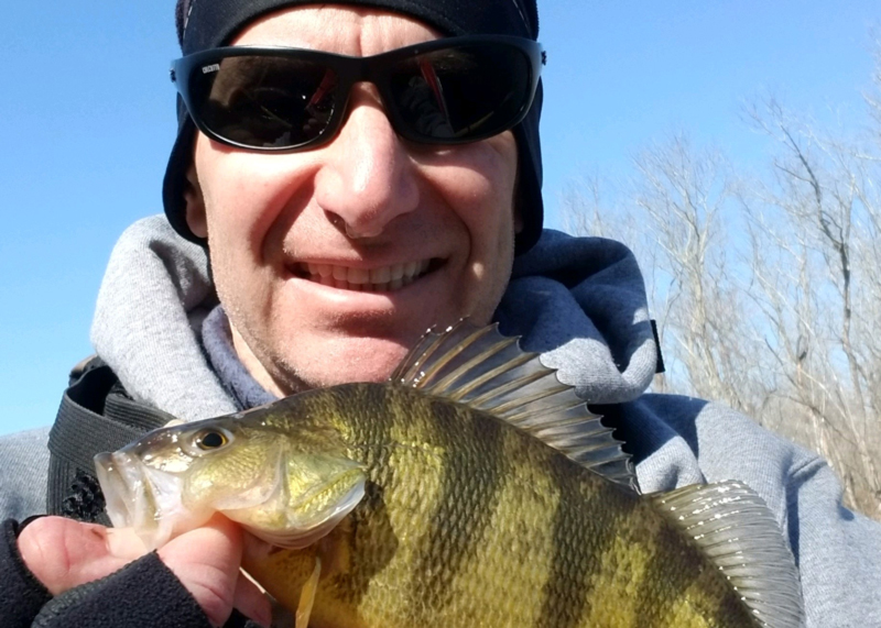 tuckahoe yellow perch