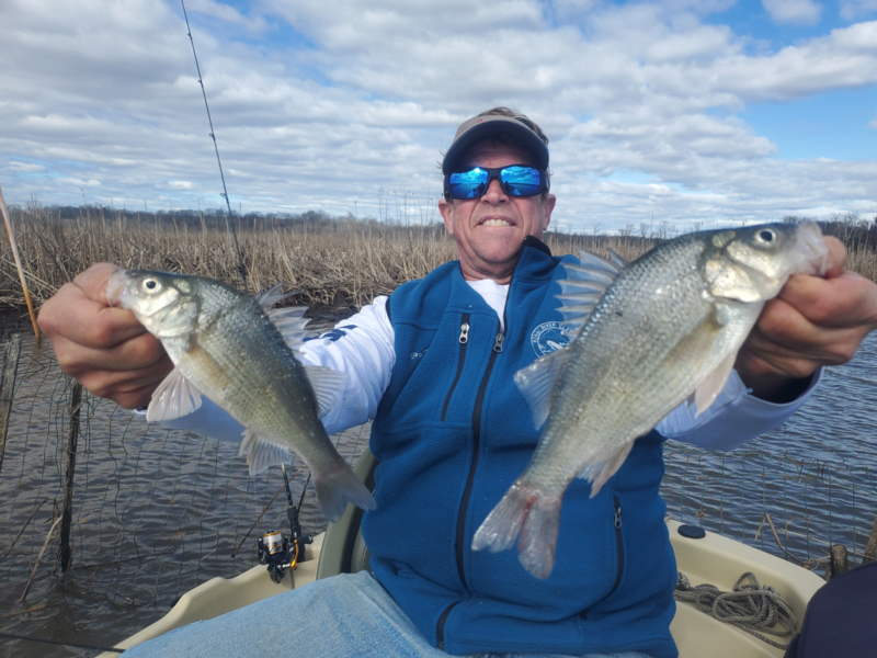 nice white perch fishing