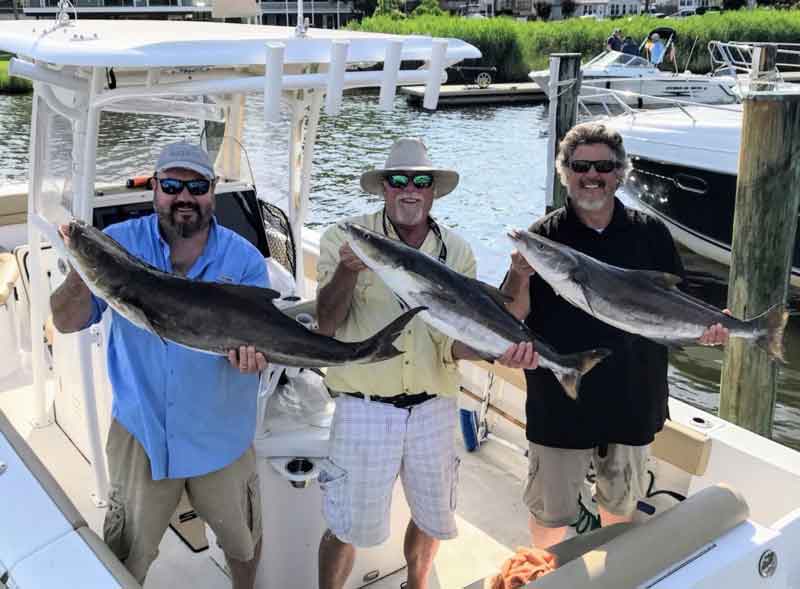 anglers with cobia on the boat