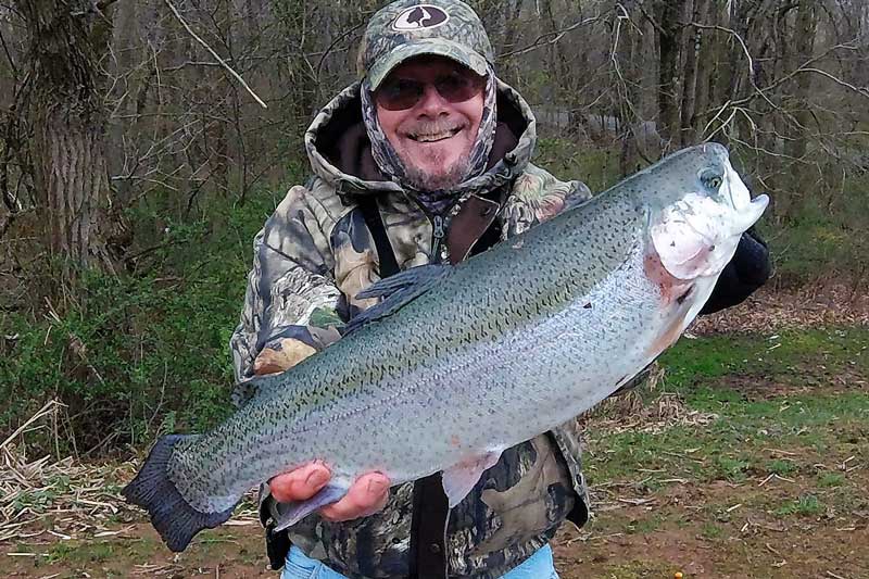 massive huge rainbow trout