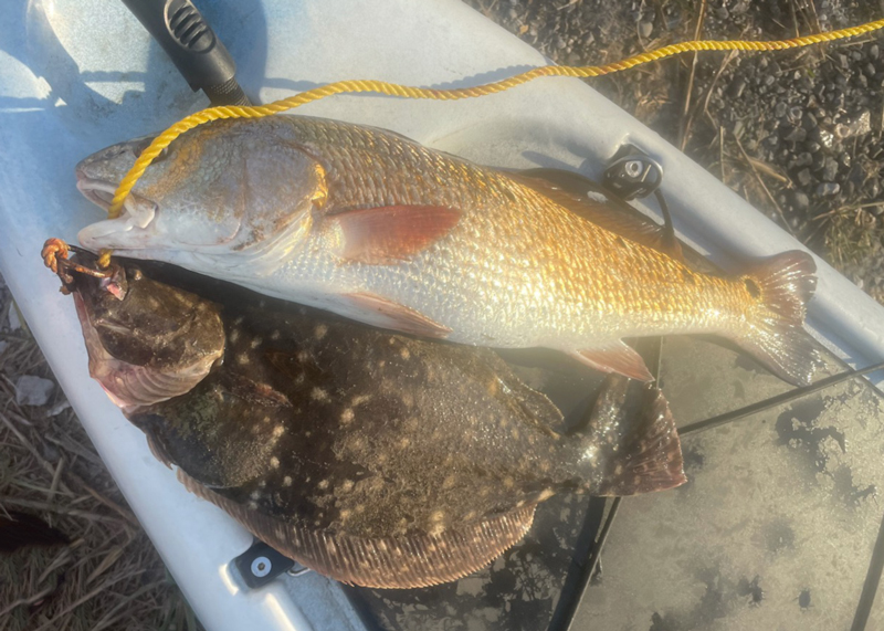 flounder and redfish