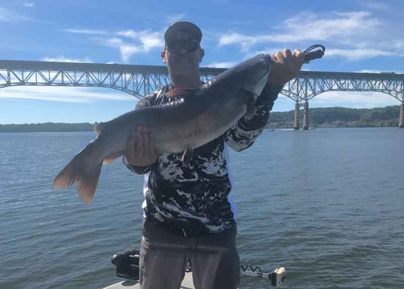 catfish angler in susquehanna