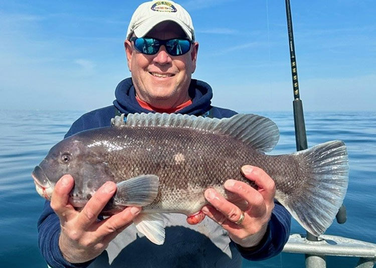 tautog on the morning star