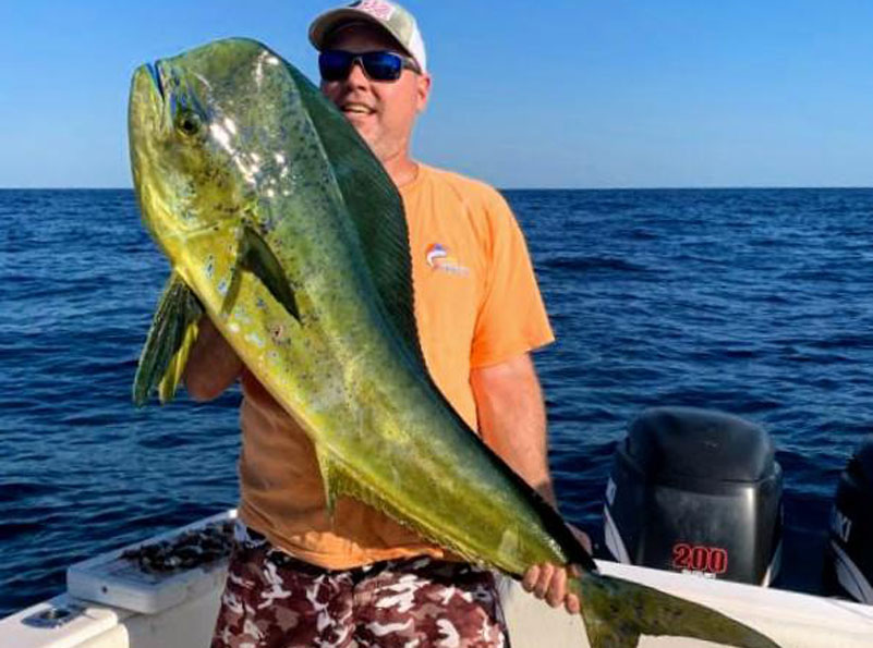 huge dolphinfish caught on a boat