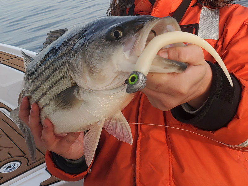 old skool fishing lures