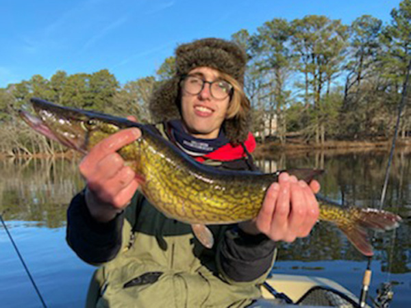 pickerel caught in a millpond