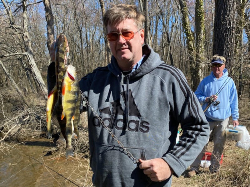 middle bay yellow perch fishing