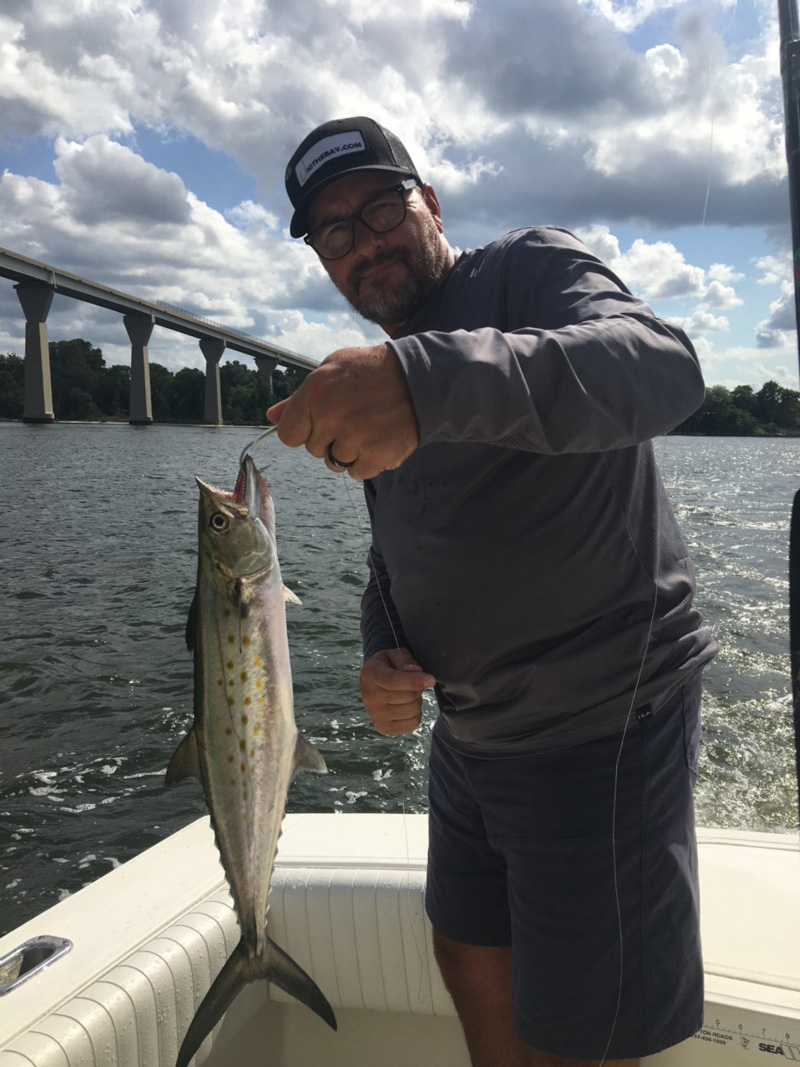 patuxent river spanish mackerel