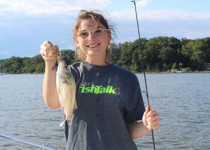 white perch on spinnerbait