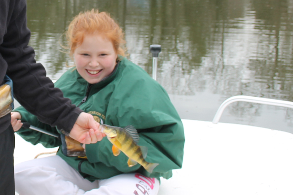 yellow perch fishing on a boat