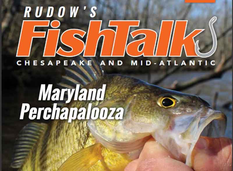 fishtalk cover