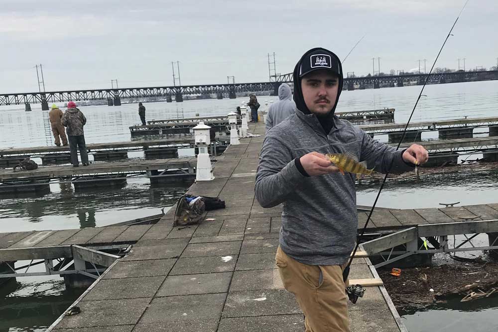 yellow perch fishing at perryville, maryland