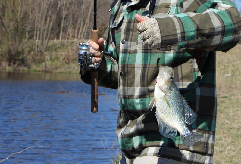 phlueger spinning reel for fishing