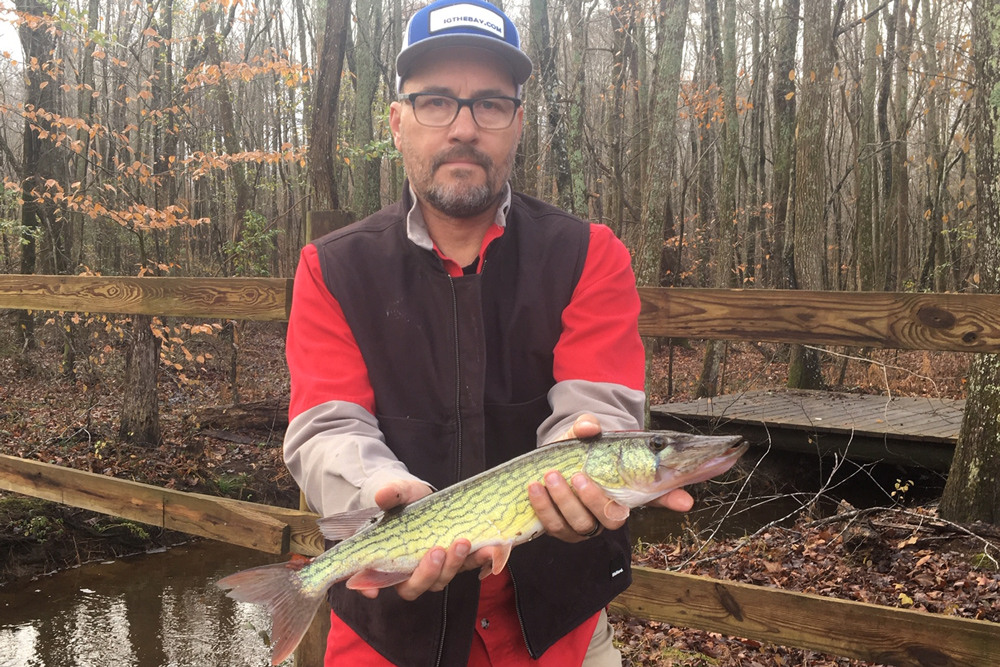 fishing for pickerel