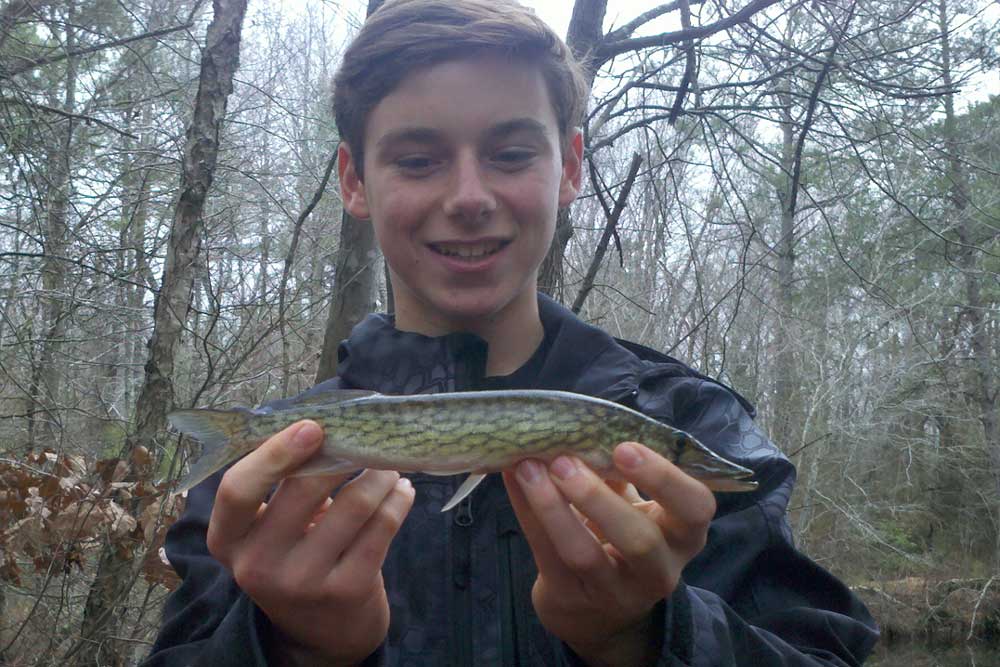 caught a pickerel