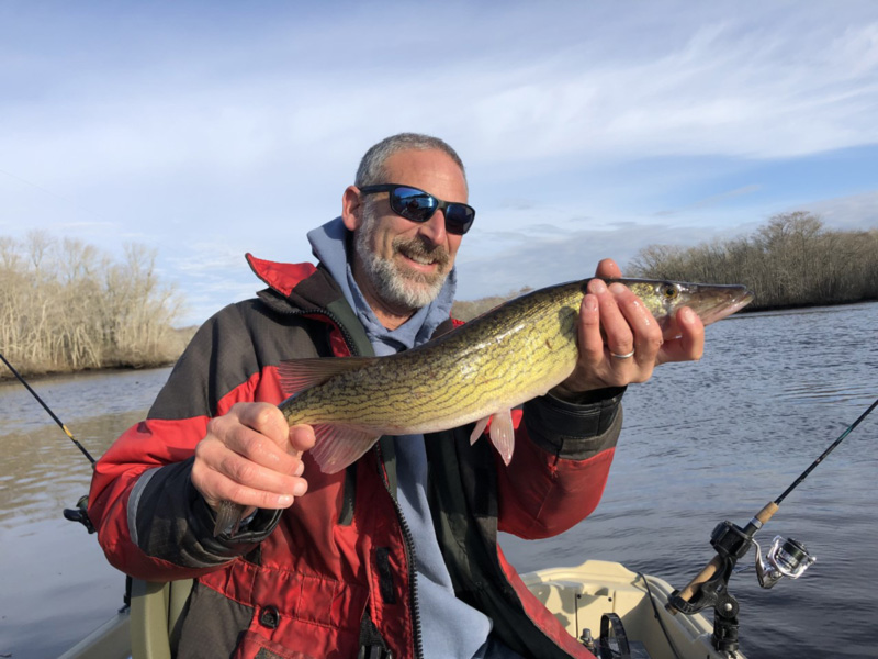 angler with a pickerel caught in a pond