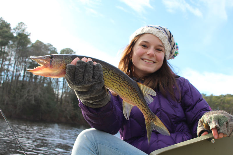 fishing for pickerel in a pond