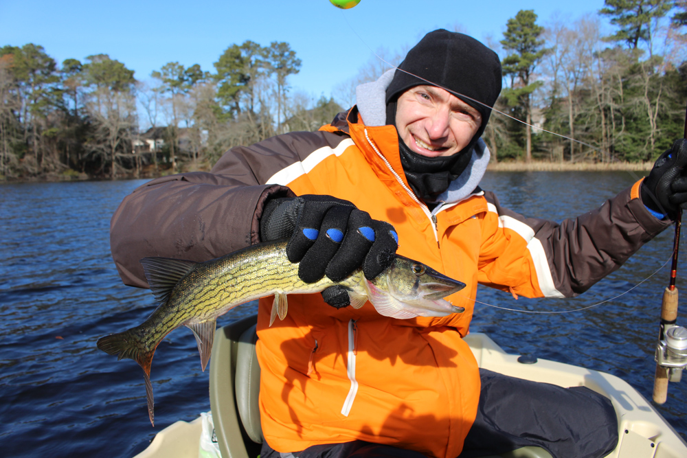 pickerel fishing with minnow