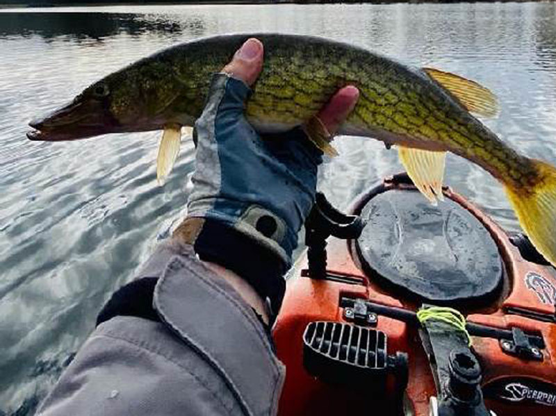 kayak fishing in a creek