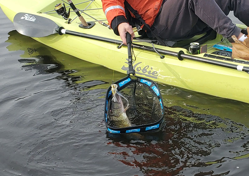 netting a pickerel