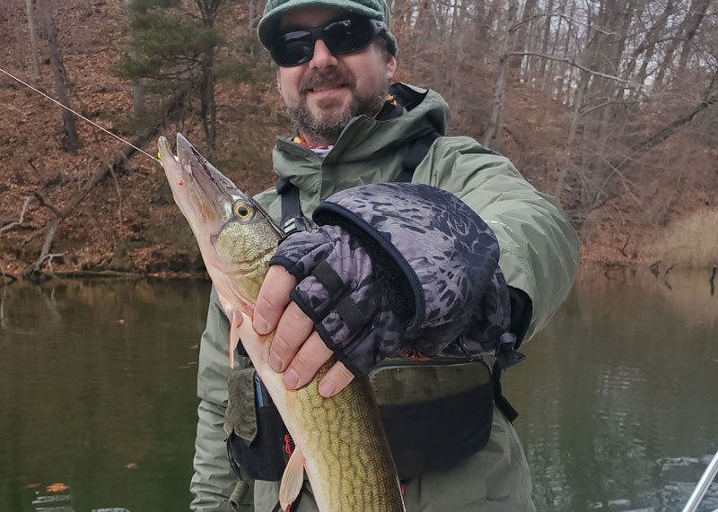 pickerel in winter