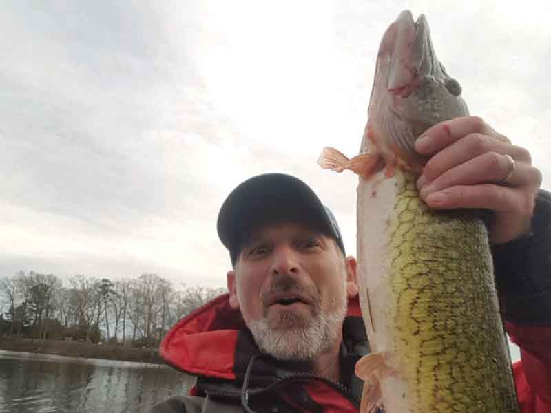 monster chain pickerel