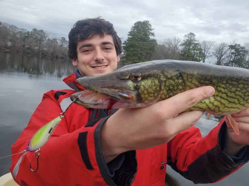 Plugs for pickerel