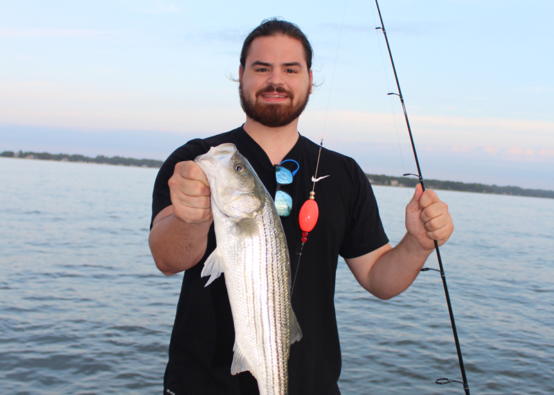 popping corks for rockfish