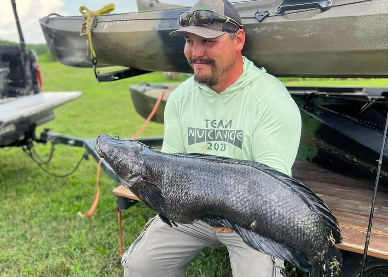 record snakehead