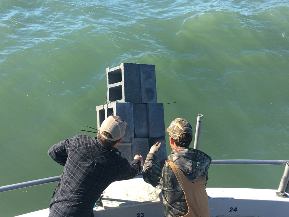 reef foundation volunteers at work