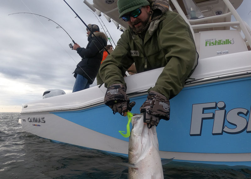 releasing a trophy rockfish