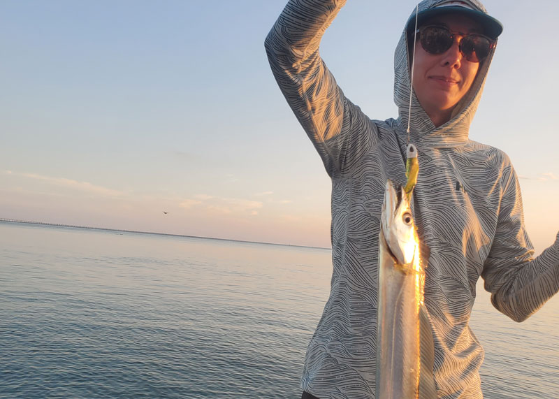 ribbon fish