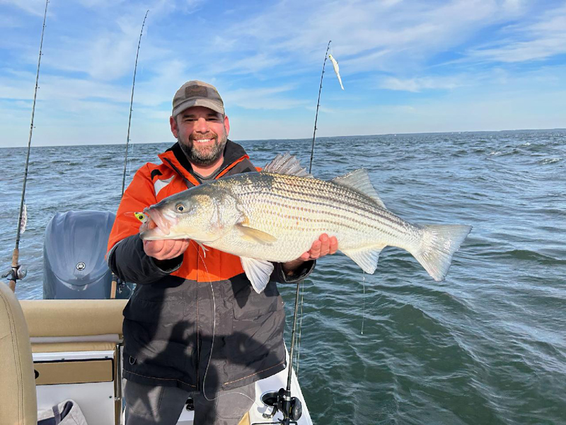 february rockfish in the chesapeake