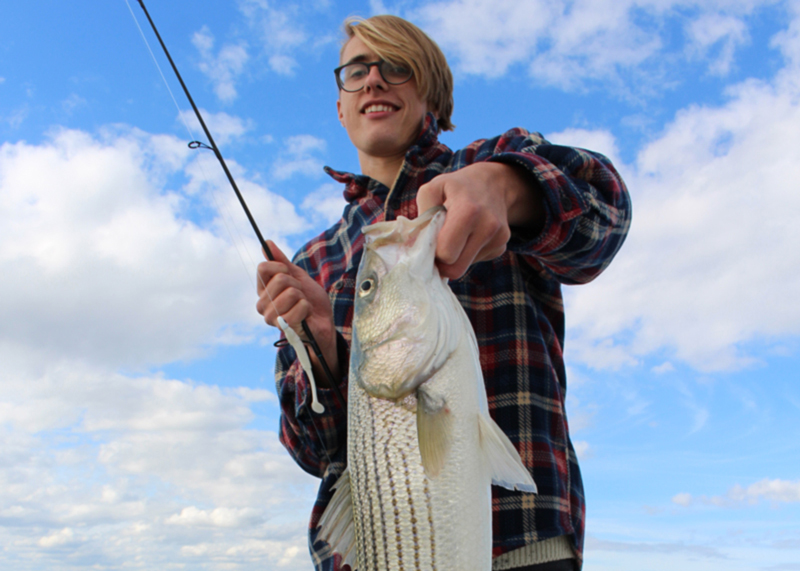 angler with striper caught jigging