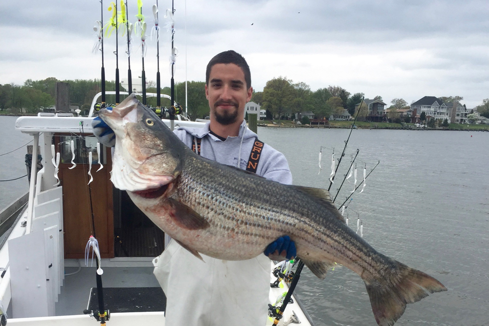 Spring Trophy Rockfish Trolling Tips