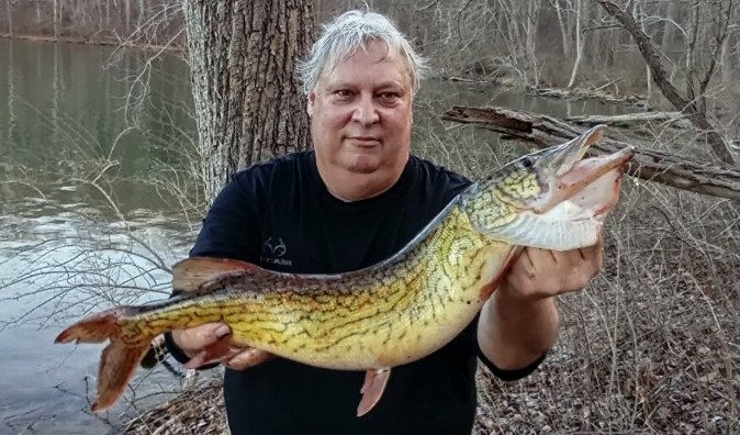 record pickerel